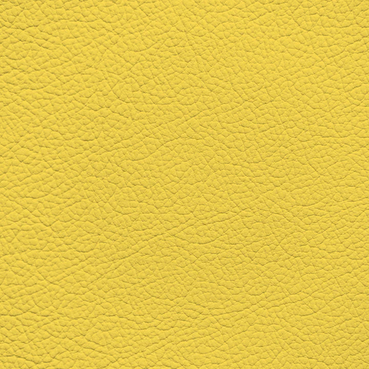 KixKote WALK101 Series Opaque Paints - 1oz