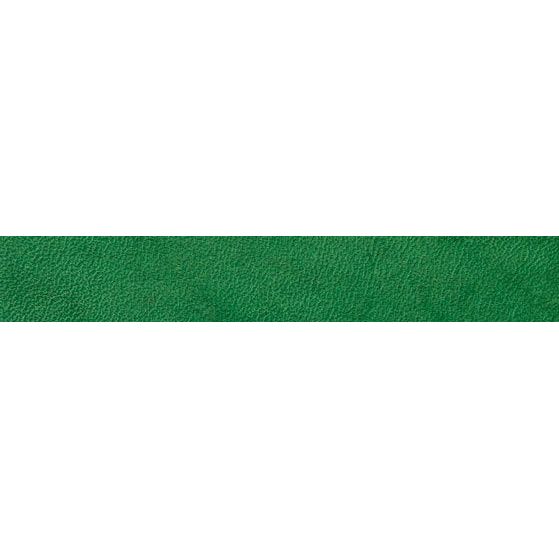 Angelus Low VOC Leather Dye - Green