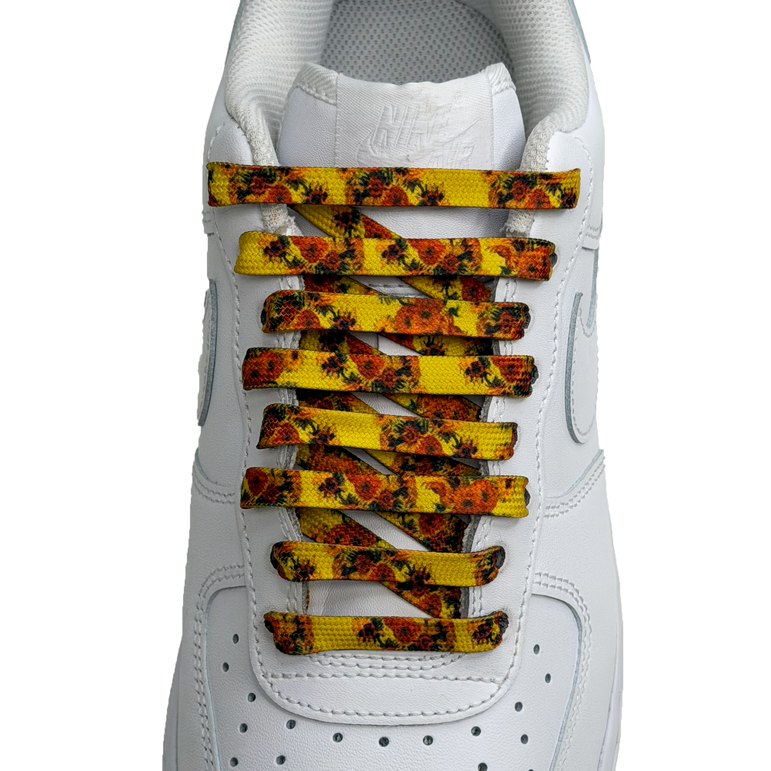 SneakerScience Art Print Flat Laces