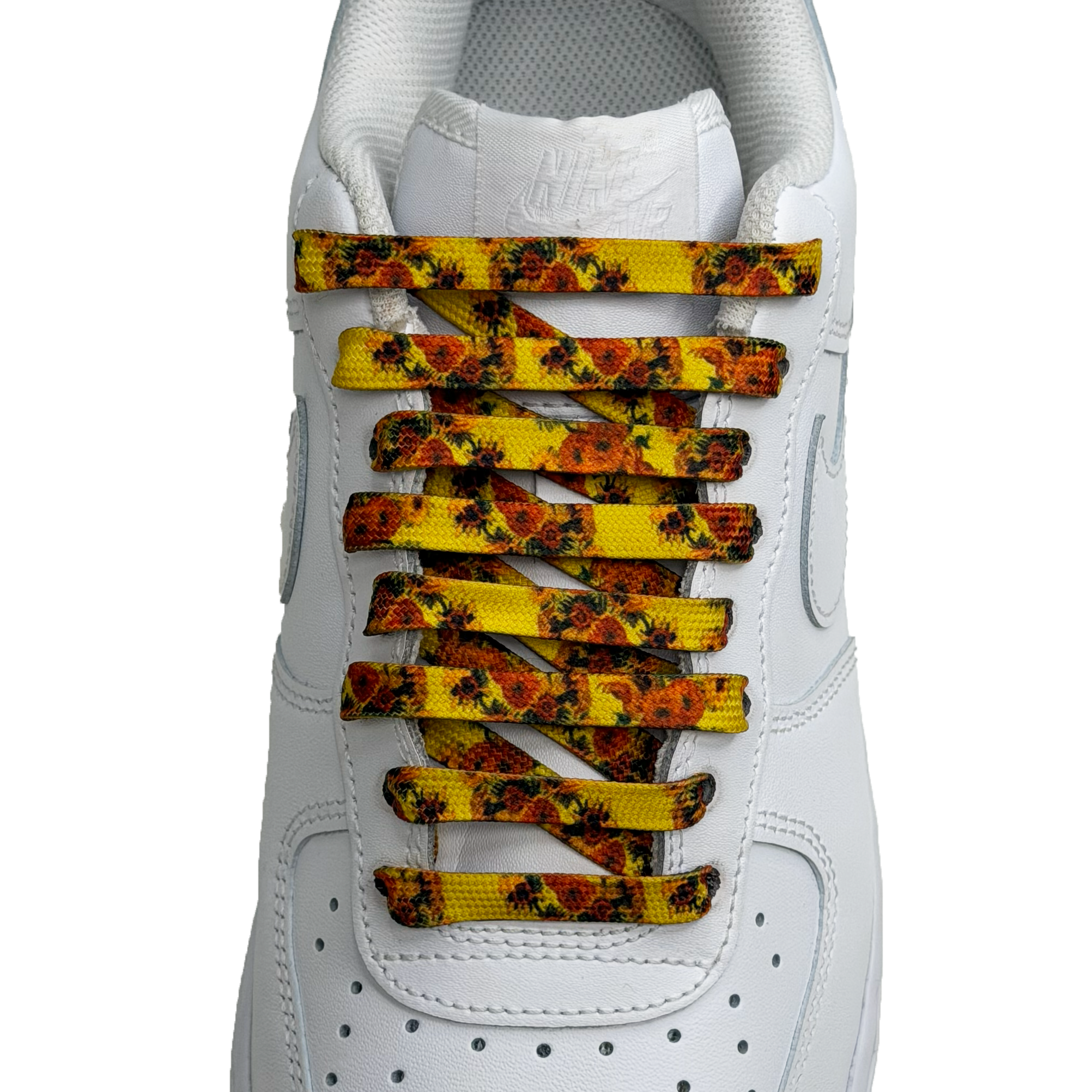 SneakerScience Art Print Flat Laces