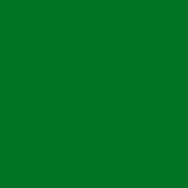 AlphaFlex Flexible Textile & Leather Paint - Bright Green (Alpha Green)
