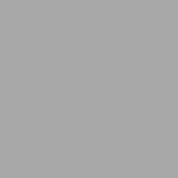 AlphaFlex Flexible Textile & Leather Paint - Light Grey