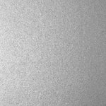 AlphaFlex Flexible Textile & Leather Paint - Metallic Silver