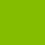 AlphaFlex Flexible Textile & Leather Paint - Slime Green